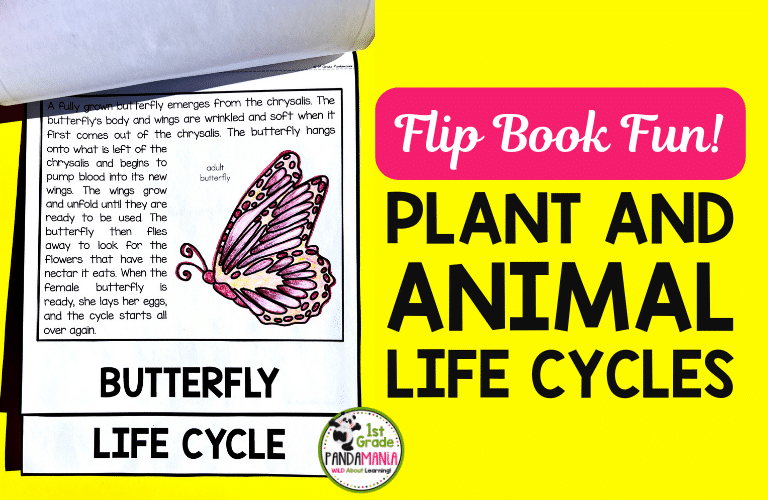 EASY FLIP Book Fun For Plant And Animal Life Cycles 1