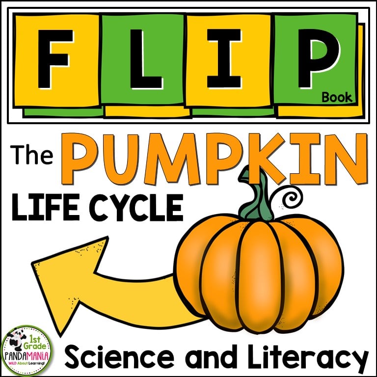 pumpkin life cycle FLIP Book cover