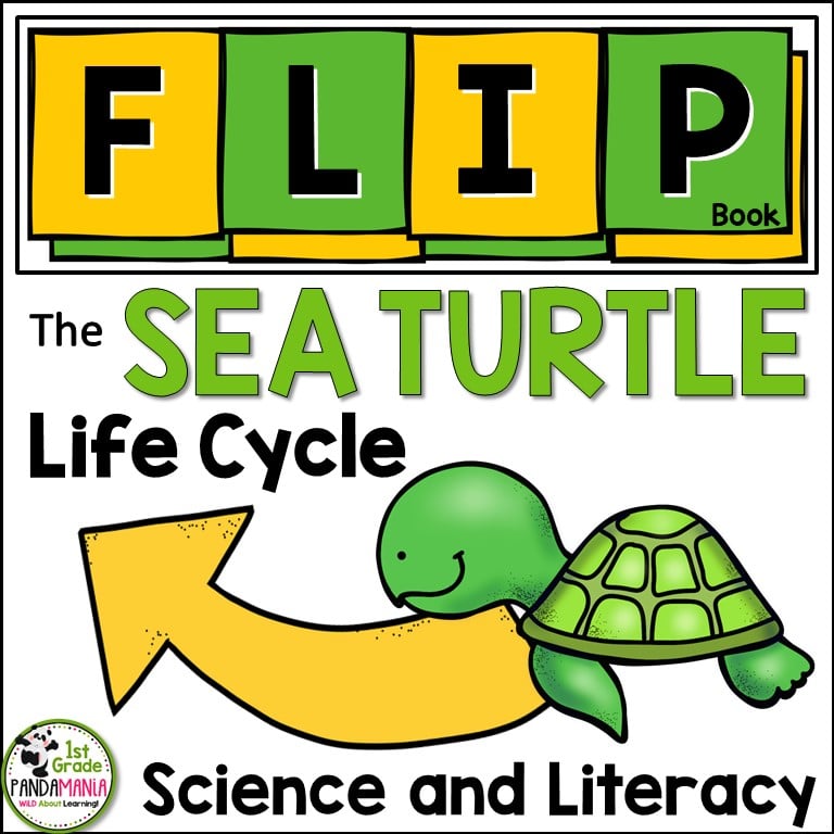 Sea turtle life cycle FLIP Book Cover