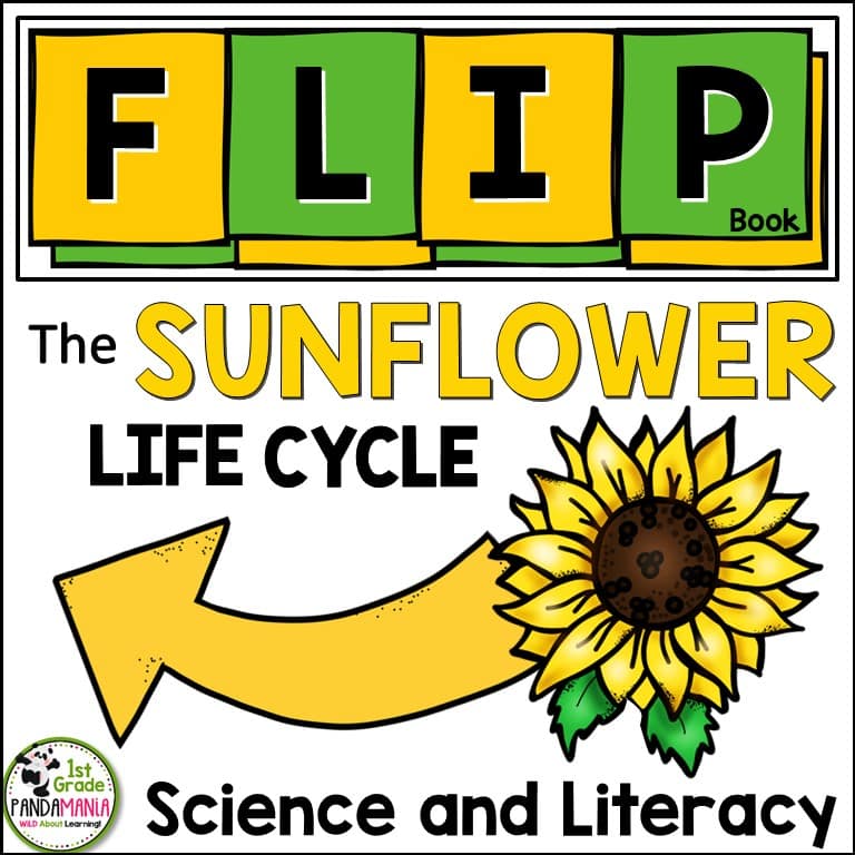 sunflower life cycle FLIP Book cover
