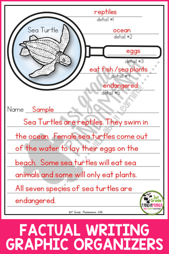 Fun Factual Writing Graphic Organizers For K-2 With Sampler! 5