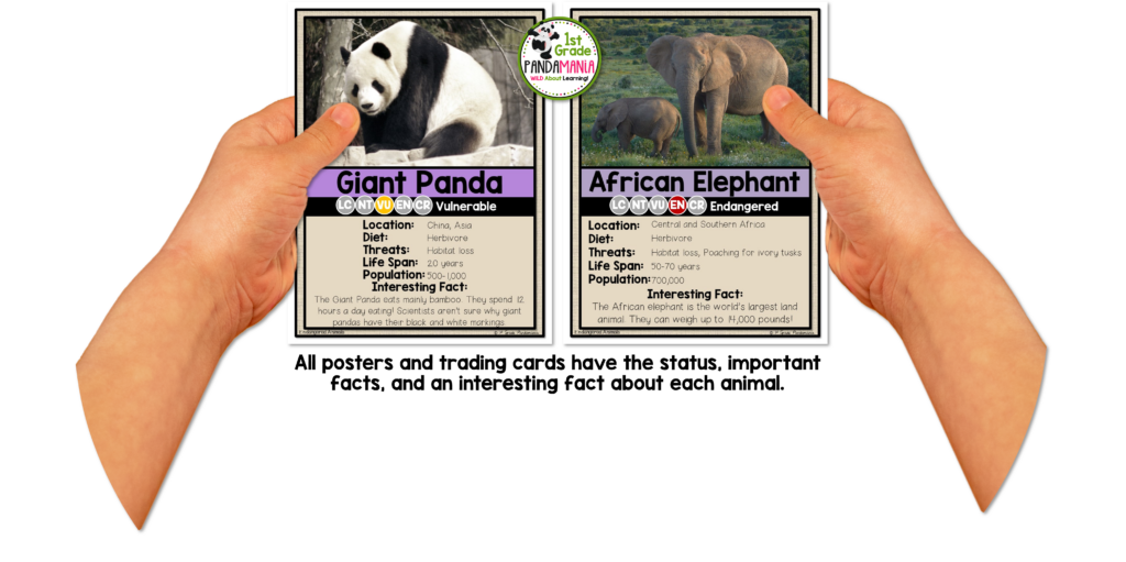 Become an Expert in Facts about Endangered Animals! 4