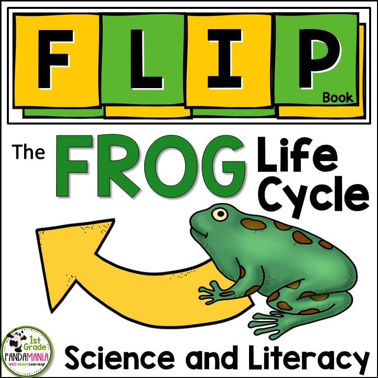 frog life cycle FLIP Book cover