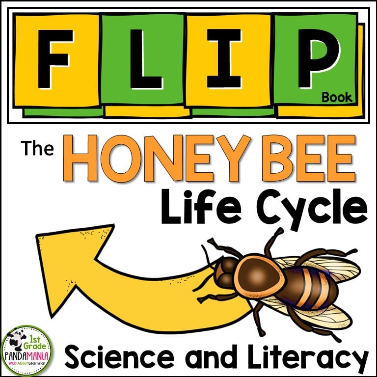 honey bee life cycle FLIP Book cover