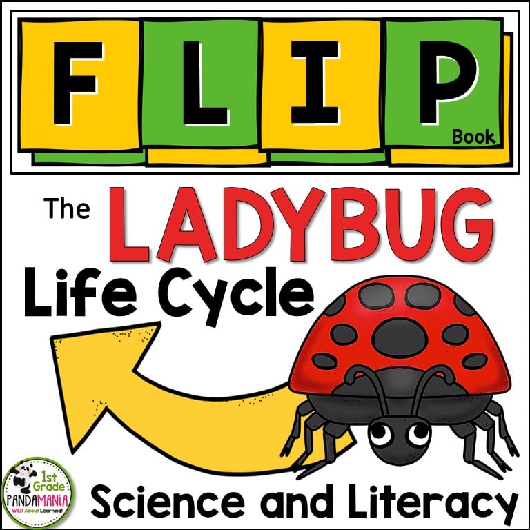 ladybug life cycle FLIP Book cover