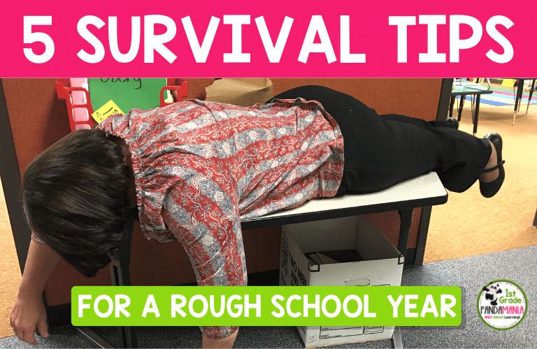 5 Survival Tips for a ROUGH School Year
