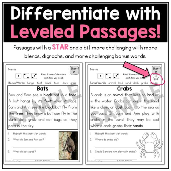 Fluency and Comprehension Passages with Short Vowels 3