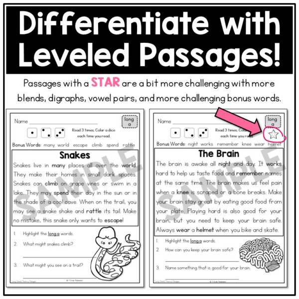 Fluency and Comprehension Passages with Long and Short Vowels BUNDLE 4