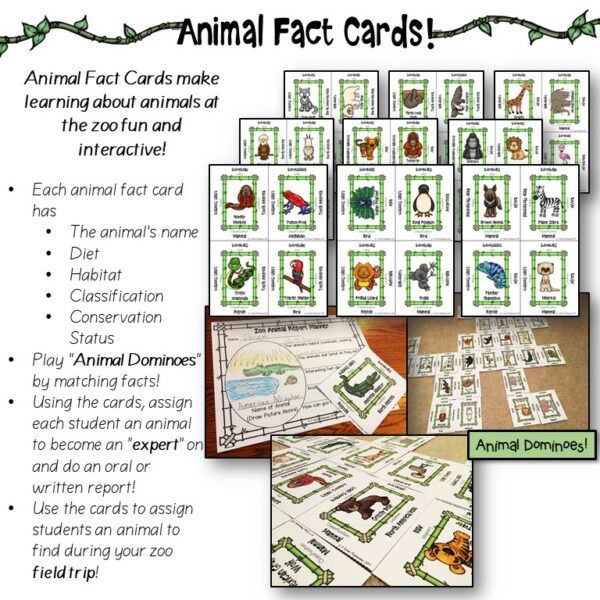 Zoo Field Trip Activity Pack 4