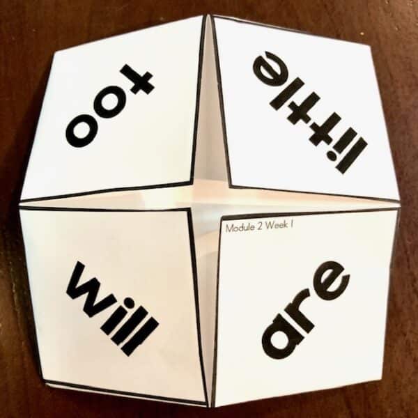 HMH Into Reading Sight Word Practice Cootie Catcher Centers 1st Grade 2020 6