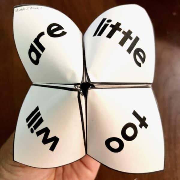 HMH Into Reading Sight Word Practice Cootie Catcher Centers 1st Grade 2020 9