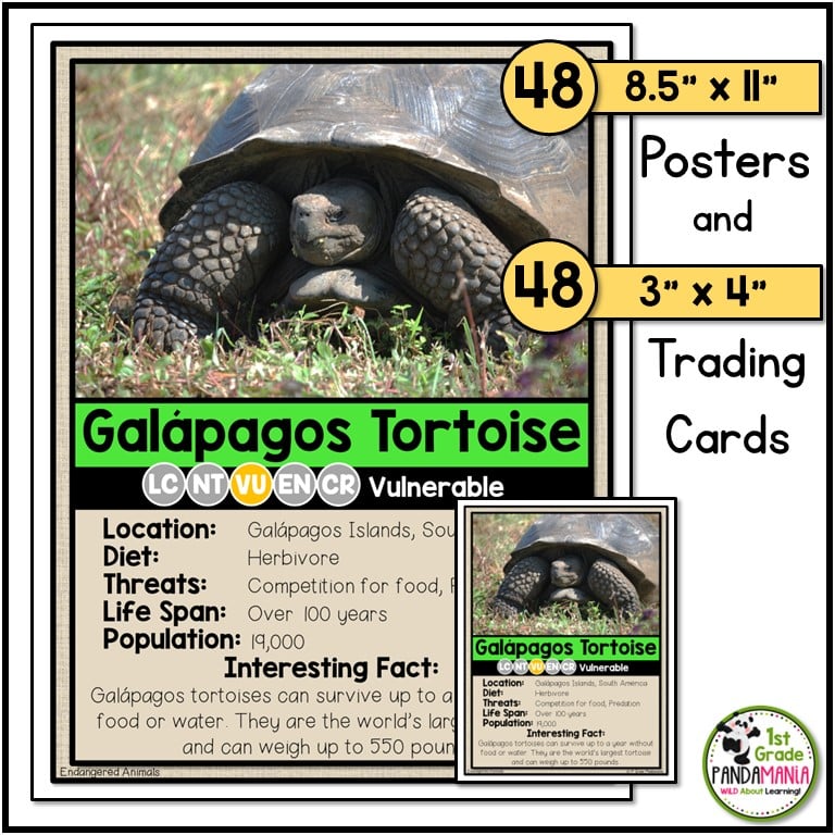 Earth Day and Endangered Animals Activities Bundle 2 Earth Day and Endangered Animals Activities Bundle - Image 2