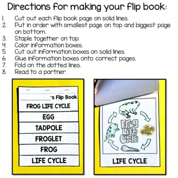 Frog Life Cycle Animal Science and Literacy FLIP Book 3 Frog Life Cycle Animal Science and Literacy FLIP Book 2