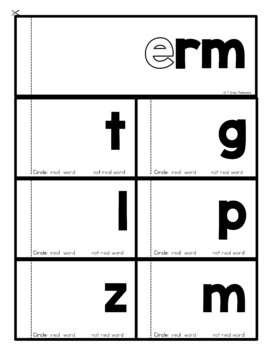 R-Controlled Vowel Rhyming Word Family (ar, or, er, ir, ur) Phonics FLIP Books 3 er