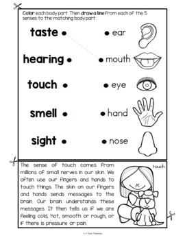 Five Senses FLIP Book Body Awareness and Human Body Systems 4 Five Senses FLIP Book Body Awareness and Human Body Systems 3