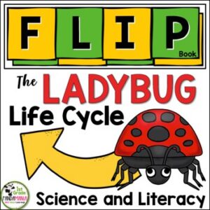 Ladybug Life Cycle Animal Science and Literacy FLIP Book