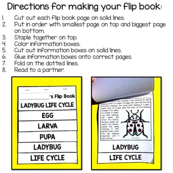 Ladybug Life Cycle Animal Science and Literacy FLIP Book 2 Ladybug Life Cycle Animal Science and Literacy FLIP Book 1
