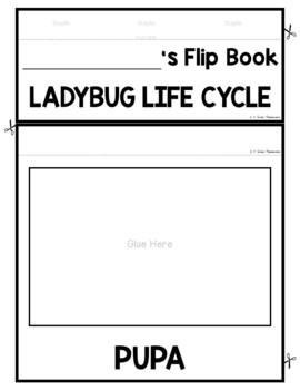 Ladybug Life Cycle Animal Science and Literacy FLIP Book 3 Ladybug Life Cycle Animal Science and Literacy FLIP Book 2