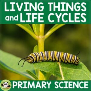 Living Things Characteristics and Life Cycles of Plants and Animals Science