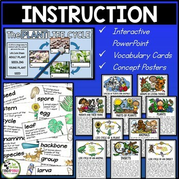 Living Things Characteristics and Life Cycles of Plants and Animals Science 3 Living Things Characteristics and Life Cycles of Plants and Animals Science 2