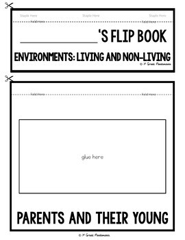 Living and Non-Living Things Characteristics and Environments Science FLIP Book 4 Living and Non-Living Things Characteristics and Environments Science FLIP Book 3