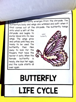 Plants and Animals Life Cycles FLIP Book Science and Literacy BUNDLE 4 Plants and Animals Life Cycles FLIP Book Science and Literacy BUNDLE 3